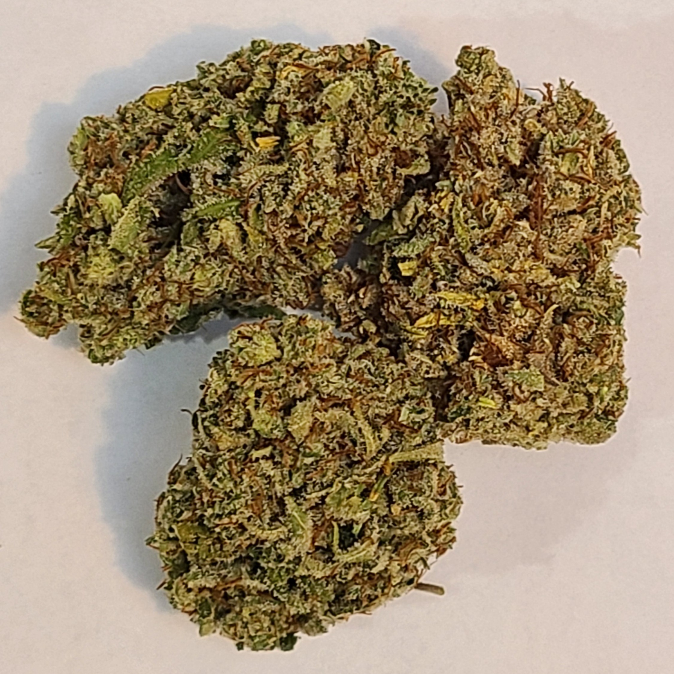 1:1 Cannatonic x Sour Tsunami Flower